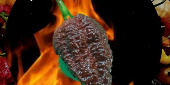 Imagem do grupo de WhatsApp Relação de pimentas