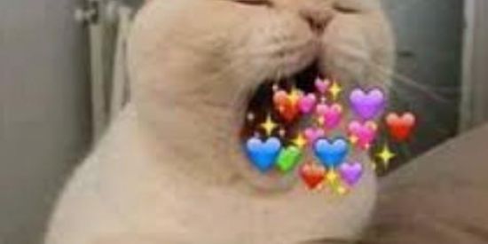 Imagem do grupo de WhatsApp Amizade ou namoro?❤