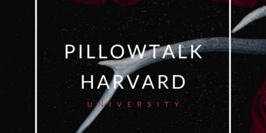 Imagem do grupo de WhatsApp PILLOWTALK•||Harvard University⚜️ RPG