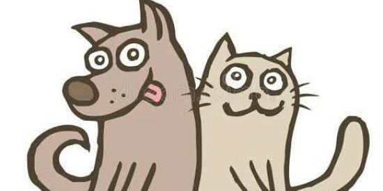 Imagem do grupo de WhatsApp F-R-I-E-N-D-S☮️