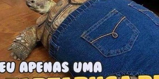 Imagem do grupo de WhatsApp Xablau