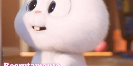 Imagem do grupo de WhatsApp Ganhe seguidores