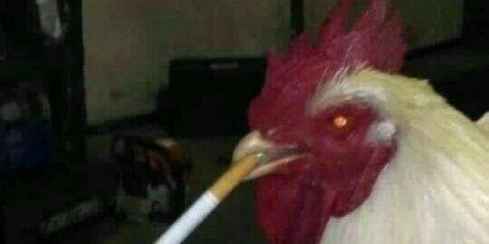 Imagem do grupo de WhatsApp ⚜️😎f r i e n d s😎⚜️