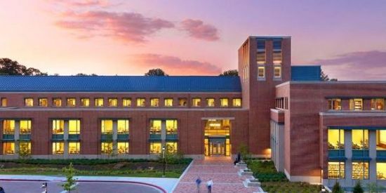 Imagem do grupo de WhatsApp ☽❦︎The school of curses☠︎