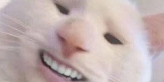 Imagem do grupo de WhatsApp ZUEIRA 300 HORAS 😳👌🏼