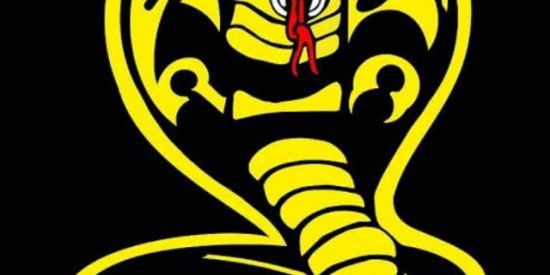 Imagem do grupo de WhatsApp Cobra kai🐍⛎ karatê,kime+