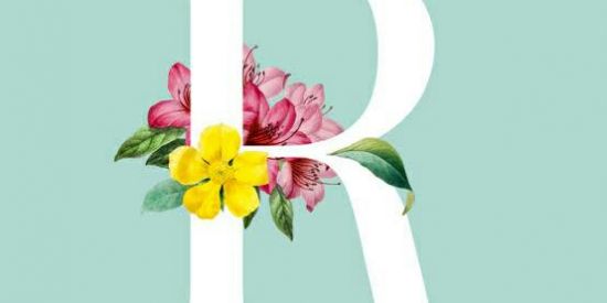 Imagem do grupo de WhatsApp RosaFlor Mix🌸 ATACADO