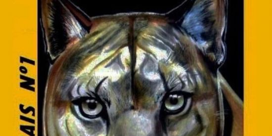 Imagem do grupo de WhatsApp DESENHISTAS DE HQ E MANGÁ