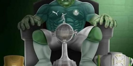 Imagem do grupo de WhatsApp Nação Palmeirense 🤍💚🐷