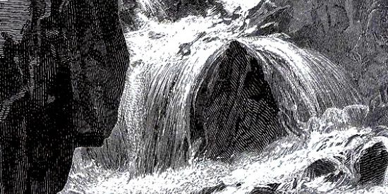 Imagem do grupo de WhatsApp monkey city¹