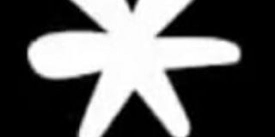 Imagem do grupo de WhatsApp Pessoas Gericas e Raras🫂