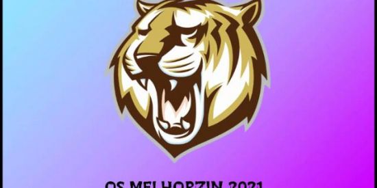 Imagem do grupo de WhatsApp 💯Os melhozin 2021💯