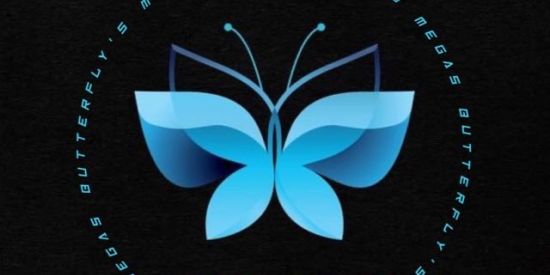 Imagem do grupo de WhatsApp • TRIAGEM BUTTERFLY’S 🦋
