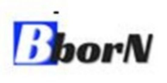 Imagem do grupo de WhatsApp Maratona do Milhão Bborn