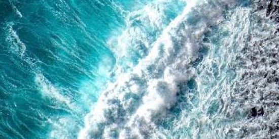 Imagem do grupo de WhatsApp OCEAN