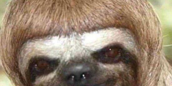 Imagem do grupo de WhatsApp ÄrTsÜL FÖRMaS