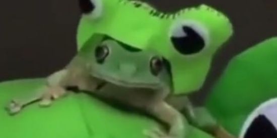 Imagem do grupo de WhatsApp Nome nenhum