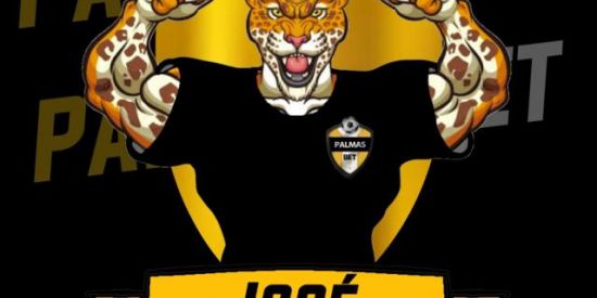 Imagem do grupo de WhatsApp PalmasBet