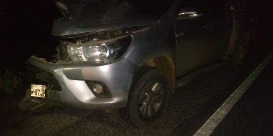 Imagem do grupo de WhatsApp Imagino