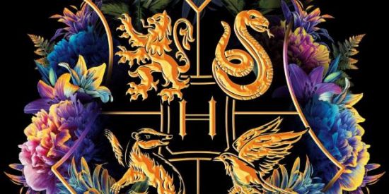 Imagem do grupo de WhatsApp ❤️💚⚜️HOGWARTS⚜️💛💙