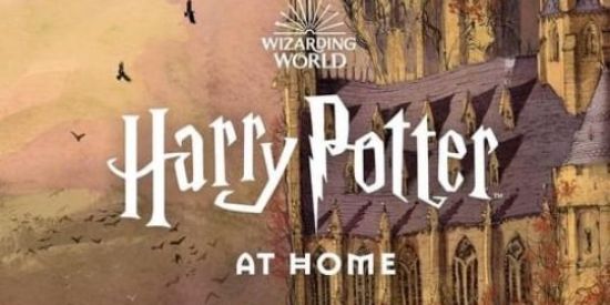 Imagem do grupo de WhatsApp ❤️💛Harry Potter💚💙