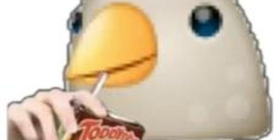 Imagem do grupo de WhatsApp Clã do pombo