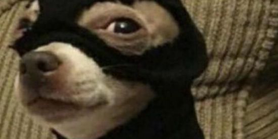 Imagem do grupo de WhatsApp SopaNãoÉjanta