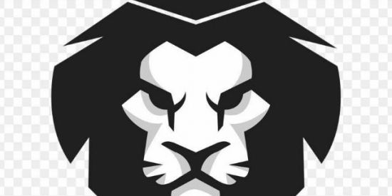 Imagem do grupo de WhatsApp X TREINO BLECK LION