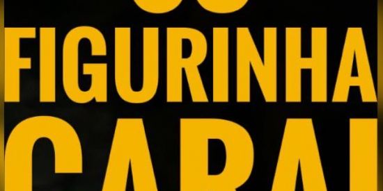 Imagem do grupo de WhatsApp SÓ FIGURINHAS OFICIAL