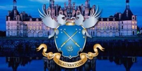 Imagem do grupo de WhatsApp HARRY POTTER