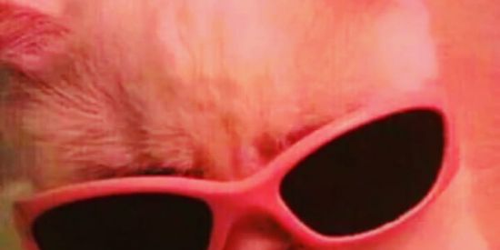 Imagem do grupo de WhatsApp HYPE🥵🥵🥵