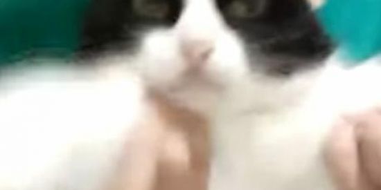 Imagem do grupo de WhatsApp 🍻SHIT DO ༺T𖫴𖫳𖫲𖫲OXḹCO🇹🇷⃤ V1