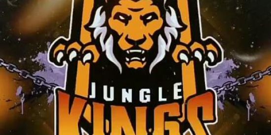 Imagem do grupo de WhatsApp 💖 recrutamento jungle minha💖