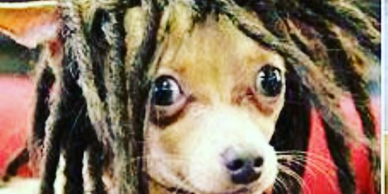 Imagem do grupo de WhatsApp Sʜɪᴛ Hɪᴛʟᴇ