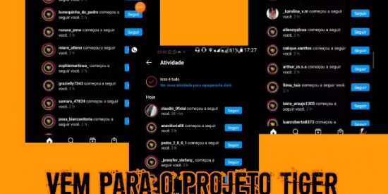 Imagem do grupo de WhatsApp Triagem Projeto Tiger🔥🐯