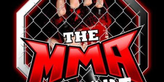 Imagem do grupo de WhatsApp Irmãos de luta