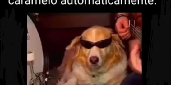 Imagem do grupo de WhatsApp ✧∭✧ [ os indomáveis ]✧∭✧