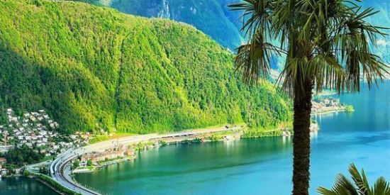 Imagem do grupo de WhatsApp Frendes