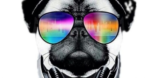 Imagem do grupo de WhatsApp 🔸💯% 🅕🅘🅖🅤🅡🅘🅝🅗🅐🅢🔸