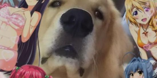 Imagem do grupo de WhatsApp Os Surtadinhos (: