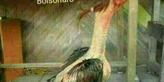 Imagem do grupo de WhatsApp Meme E Figurinha