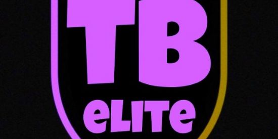 Imagem do grupo de WhatsApp ELITE