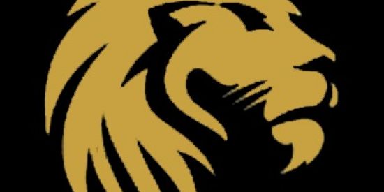 Imagem do grupo de WhatsApp Sala De Sinais iq option