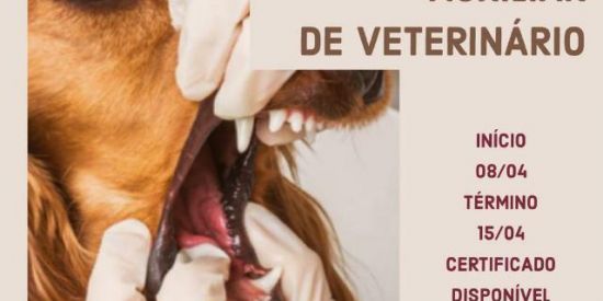 Imagem do grupo de WhatsApp AUXILIAR VETERINÁRIO G15