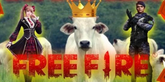 Imagem do grupo de WhatsApp Gados (a) no free fire 😂🐮