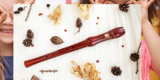 Imagem do grupo de WhatsApp Flauta Doce na Educação