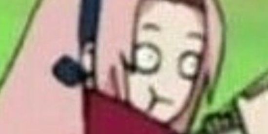 Imagem do grupo de WhatsApp ꧁sαкυrα꧂