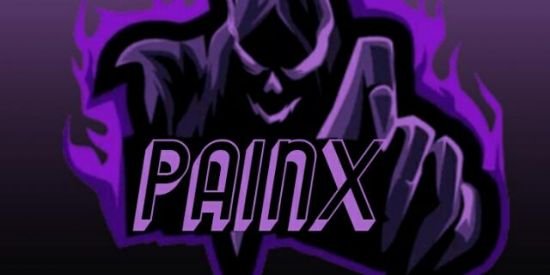 Imagem do grupo de WhatsApp PainX