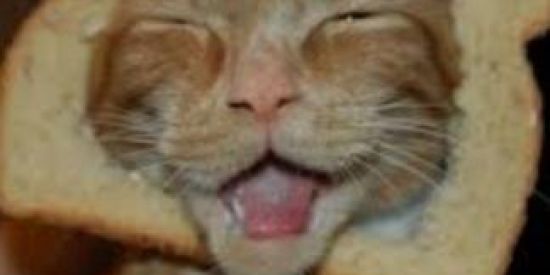 Imagem do grupo de WhatsApp λMłZλÐE E ZUEŘλ