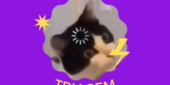 Imagem do grupo de WhatsApp Triagem | MixEngajar 💛